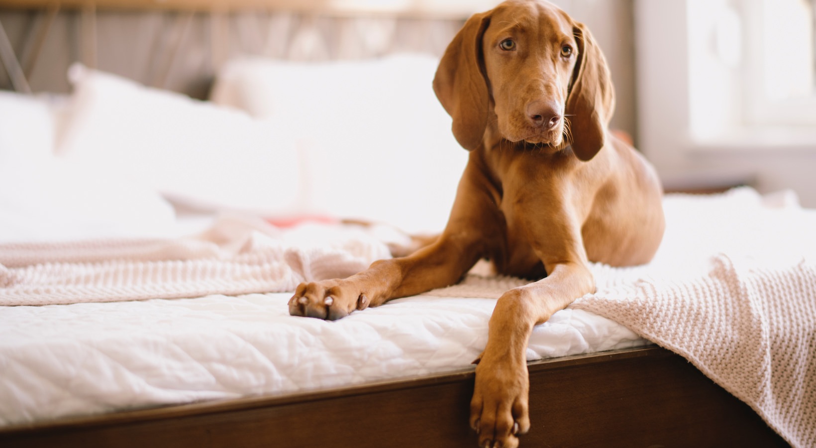 Beautiful rentals in Hastings, MN Current33 Apartments